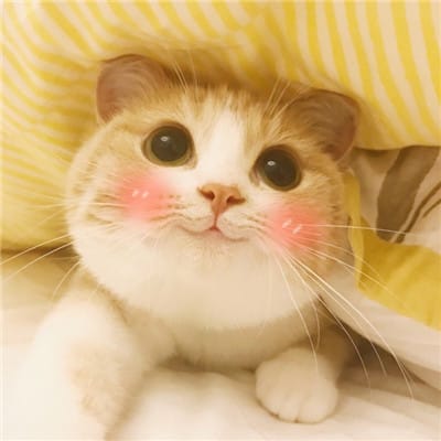 虚无寻找自我