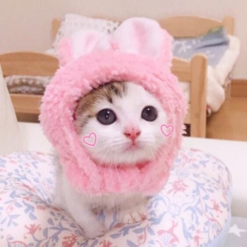 等一个人