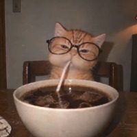 廿七