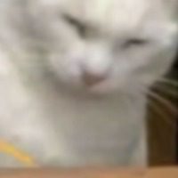 时与镜迁